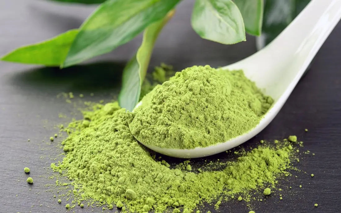 How-to-Choose-the-Best-Matcha-A-Complete-Guide-to-Quality-Flavor-and-Health-Benefits House of Koyomi