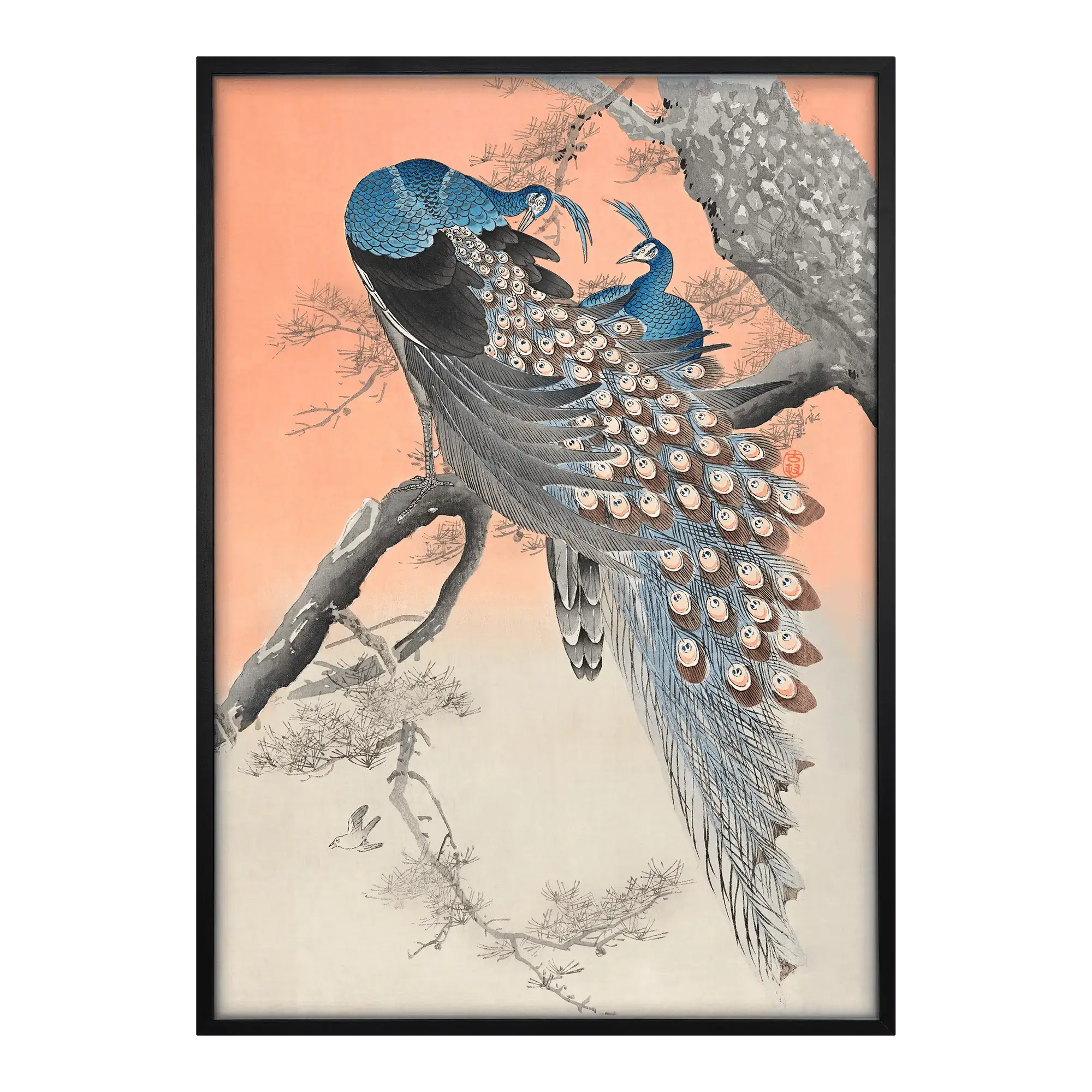 Two Peacocks on Branch Alfredssons