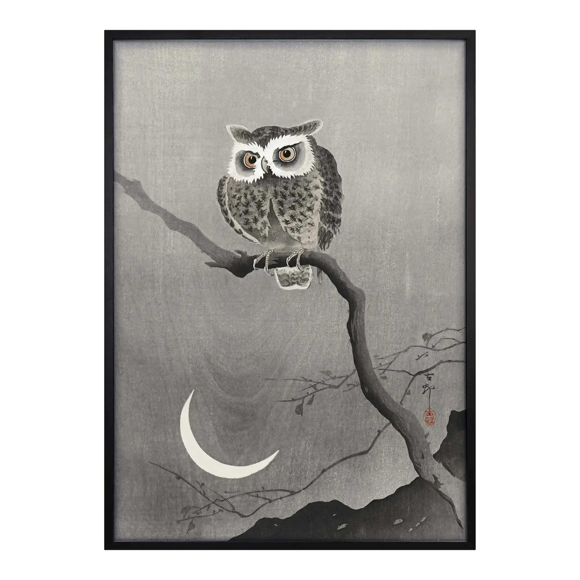 Long-eared Owl on Bare Tree Branch - House of Koyomi