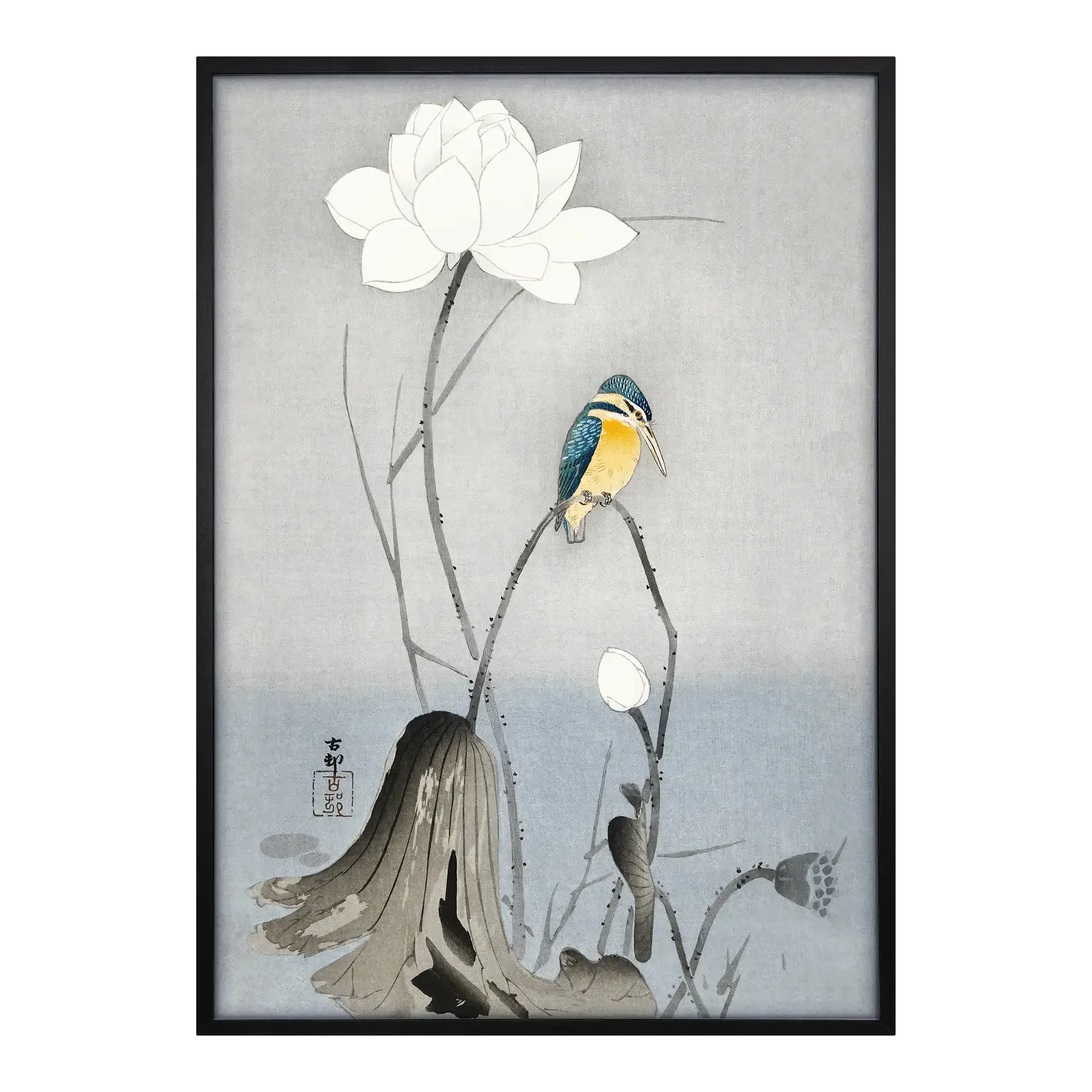 Kingfisher with Lotus Flower - House of Koyomi
