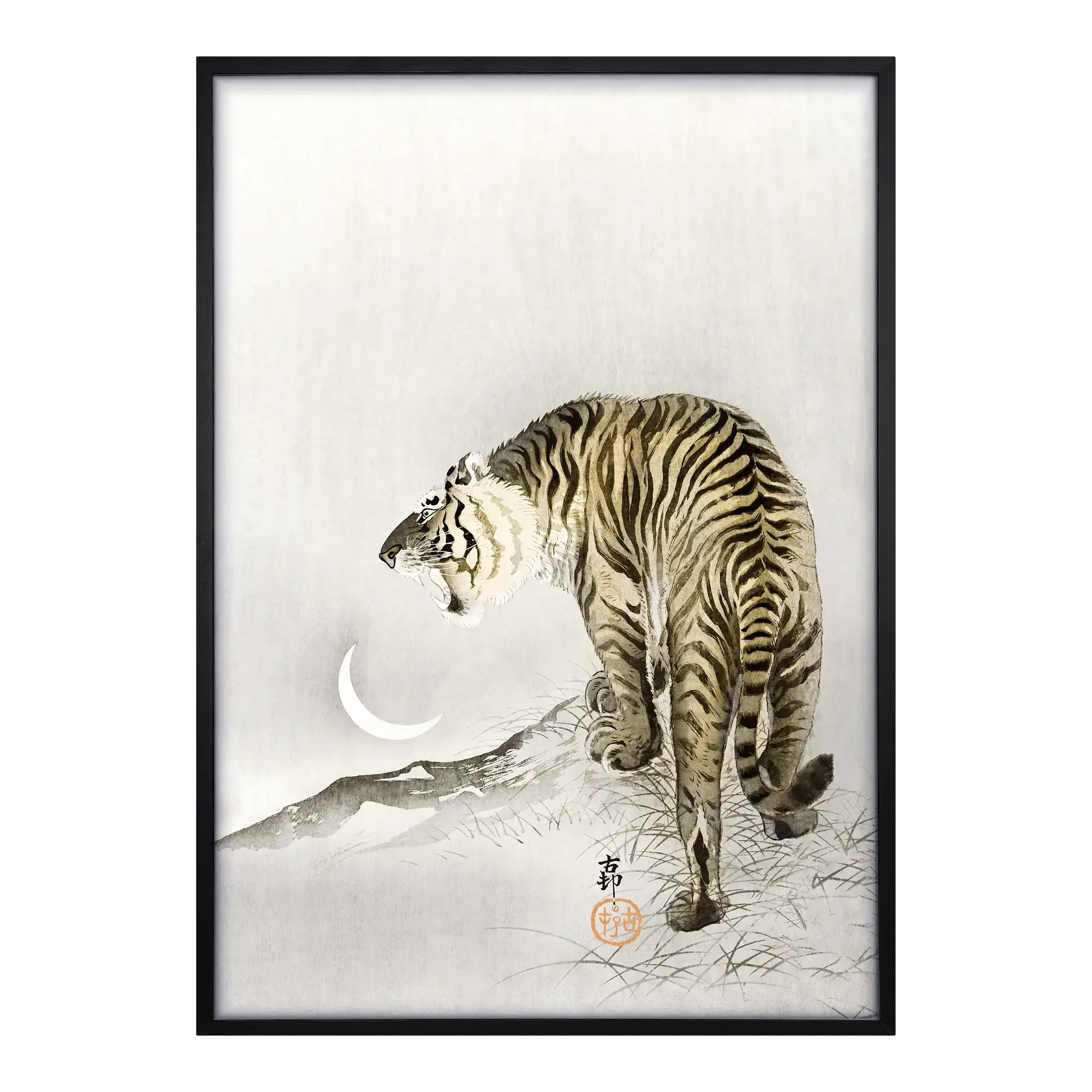 Roaring Tiger Alfredssons