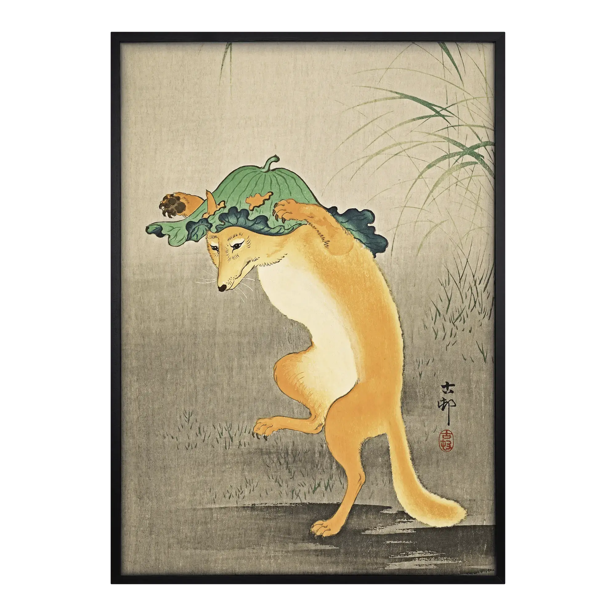 Dancing Fox Alfredssons