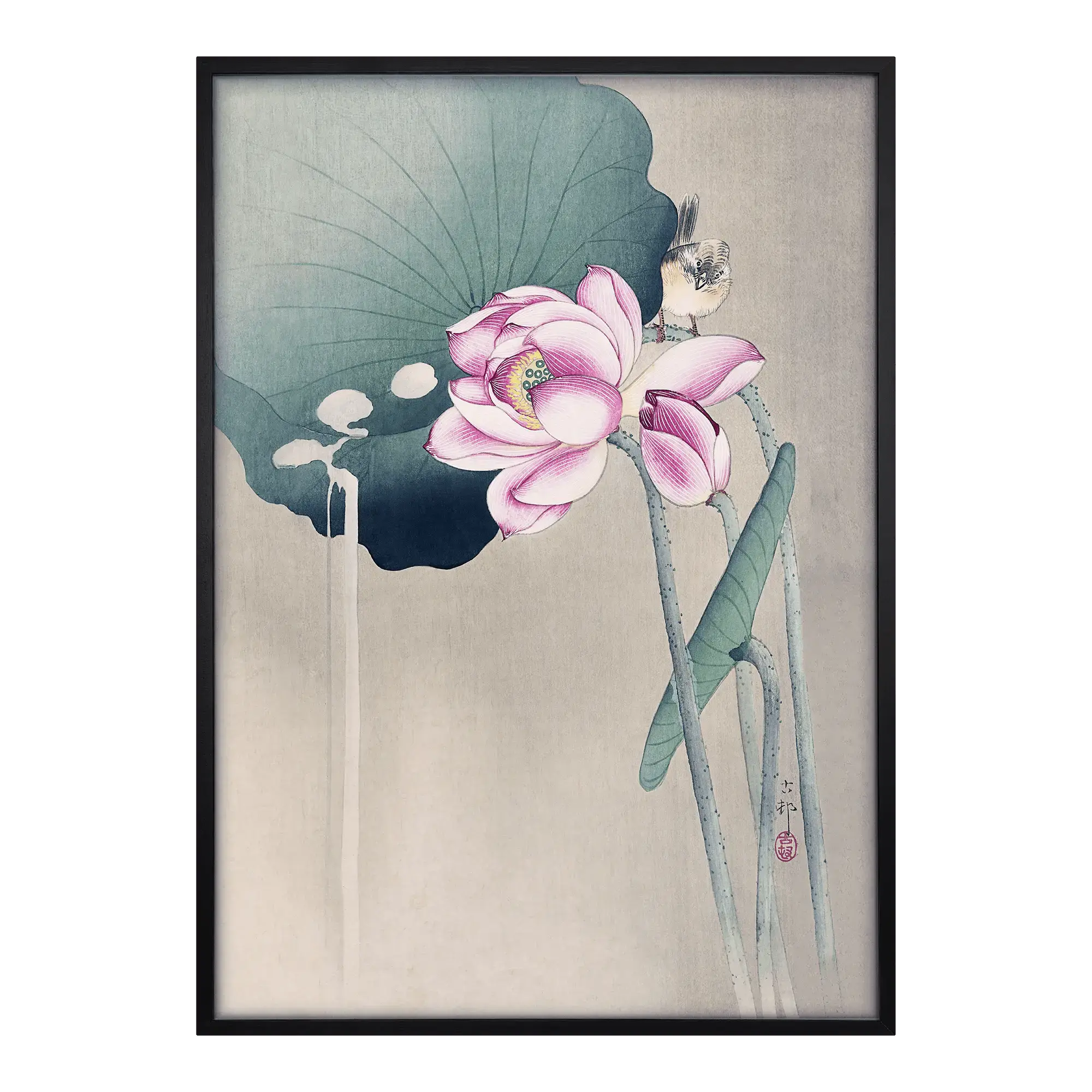 Songbird and Lotus Alfredssons