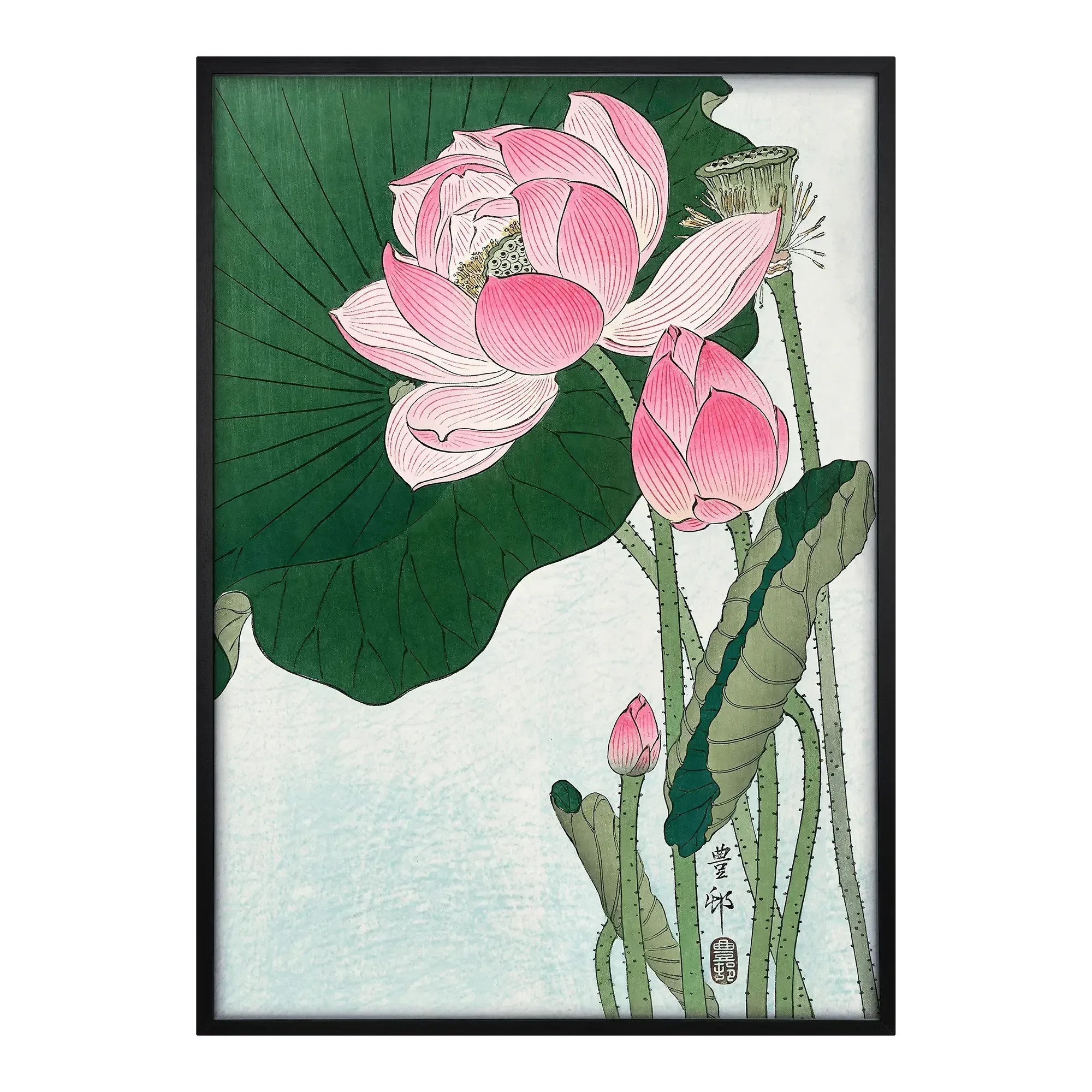 Blooming Lotus - House of Koyomi