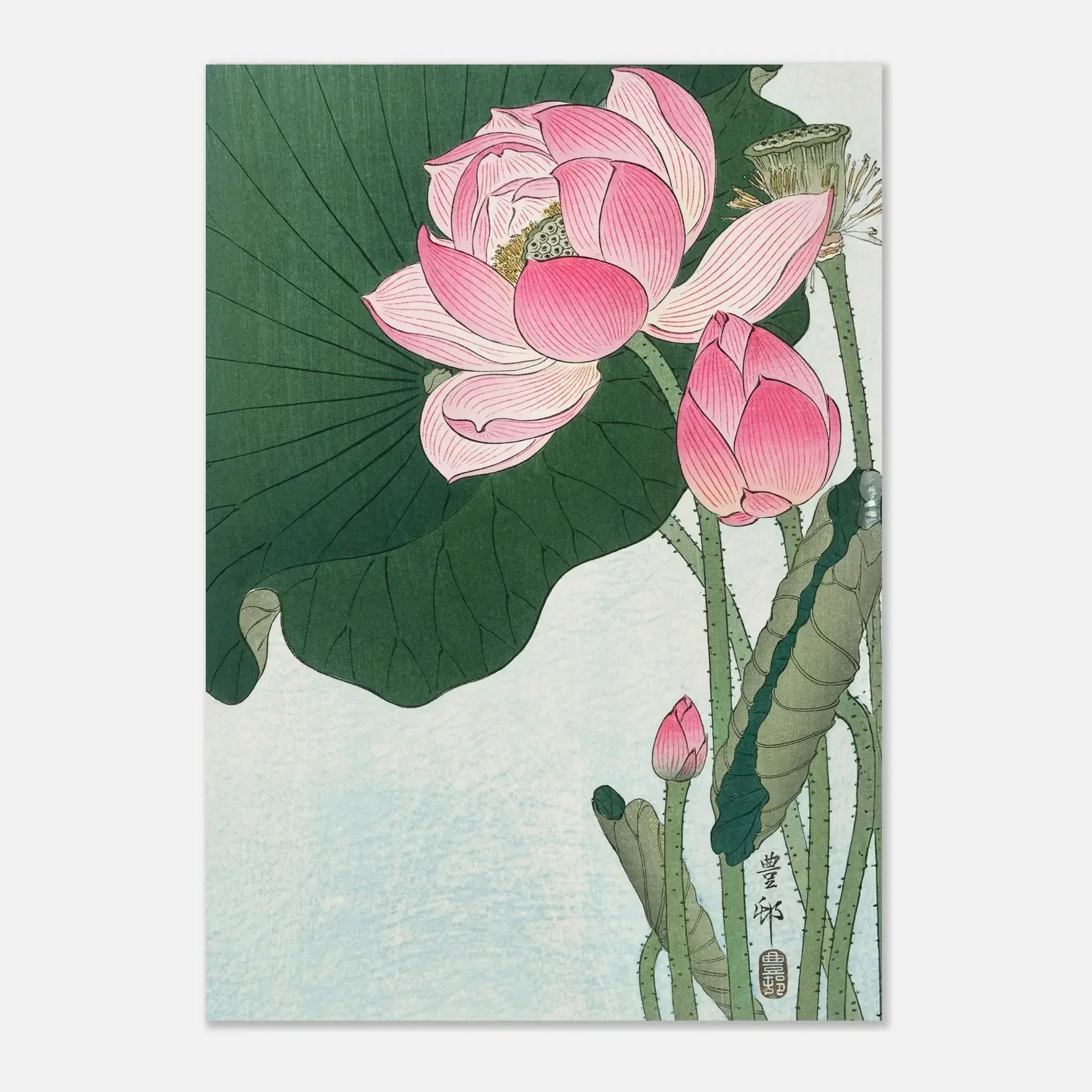 Blooming Lotus - House of Koyomi