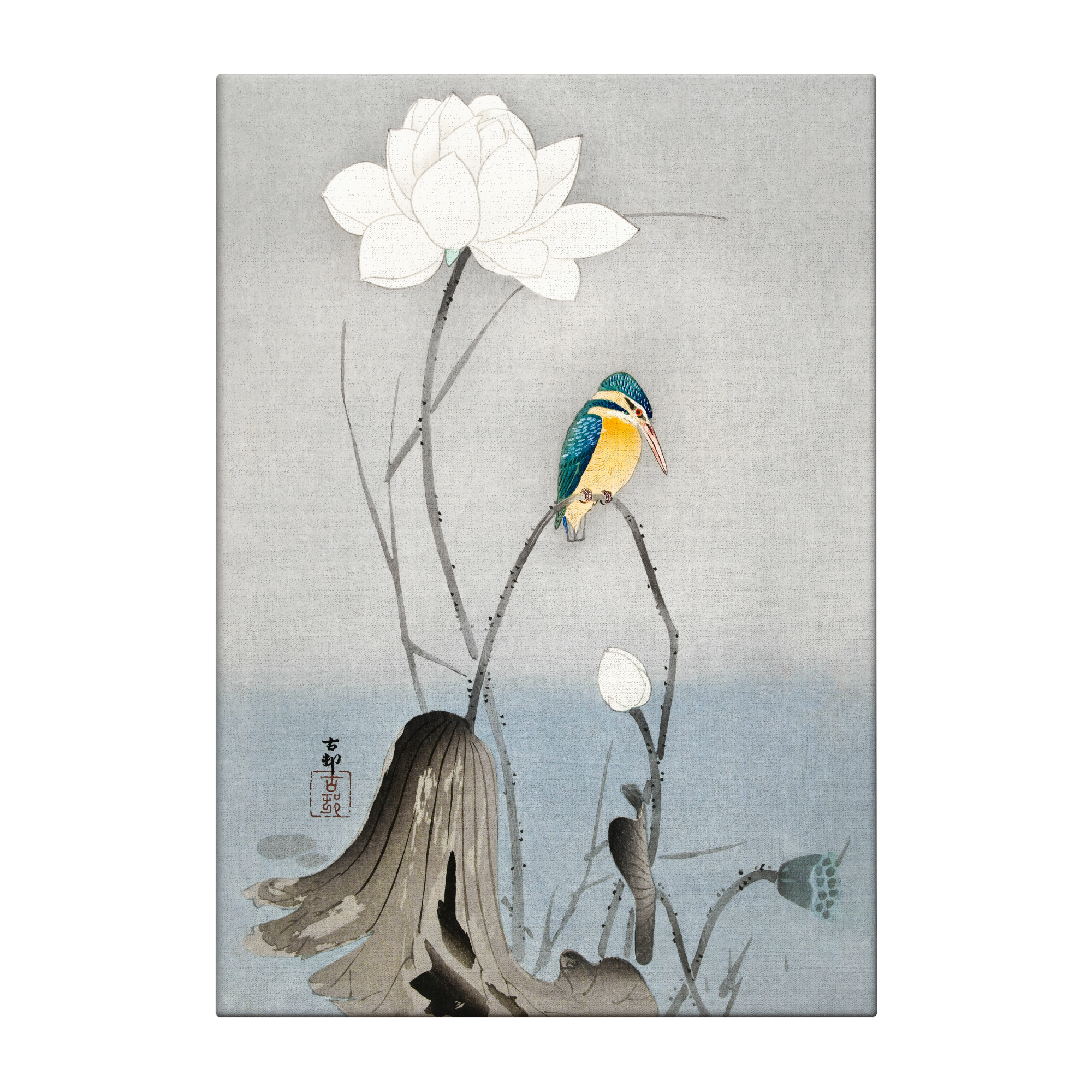 Kingfisher with Lotus Flower