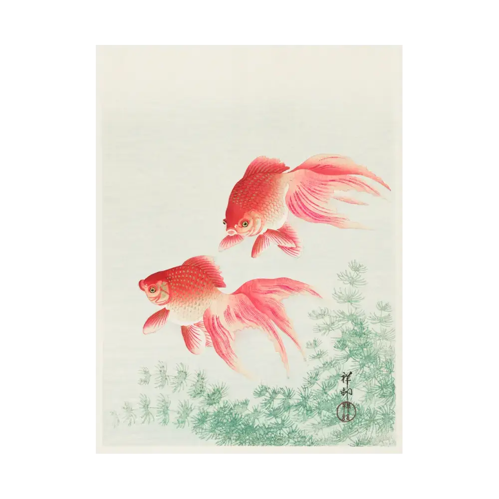 Two Veil Goldfish Artelo