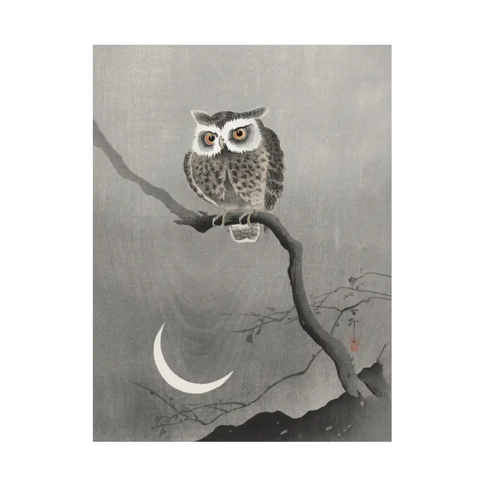 Long-eared Owl on Bare Tree Branch Artelo