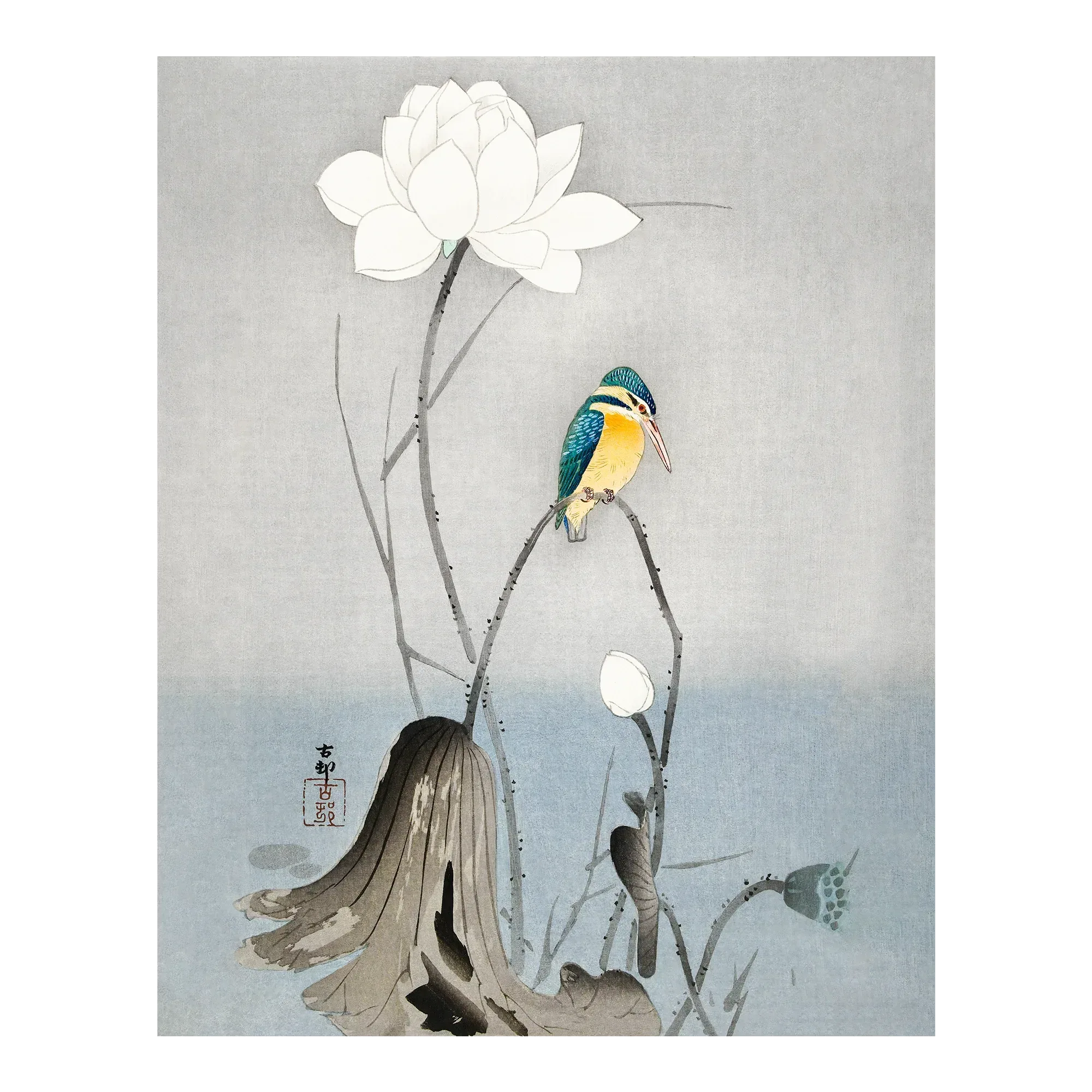 Kingfisher with Lotus Flower - House of Koyomi