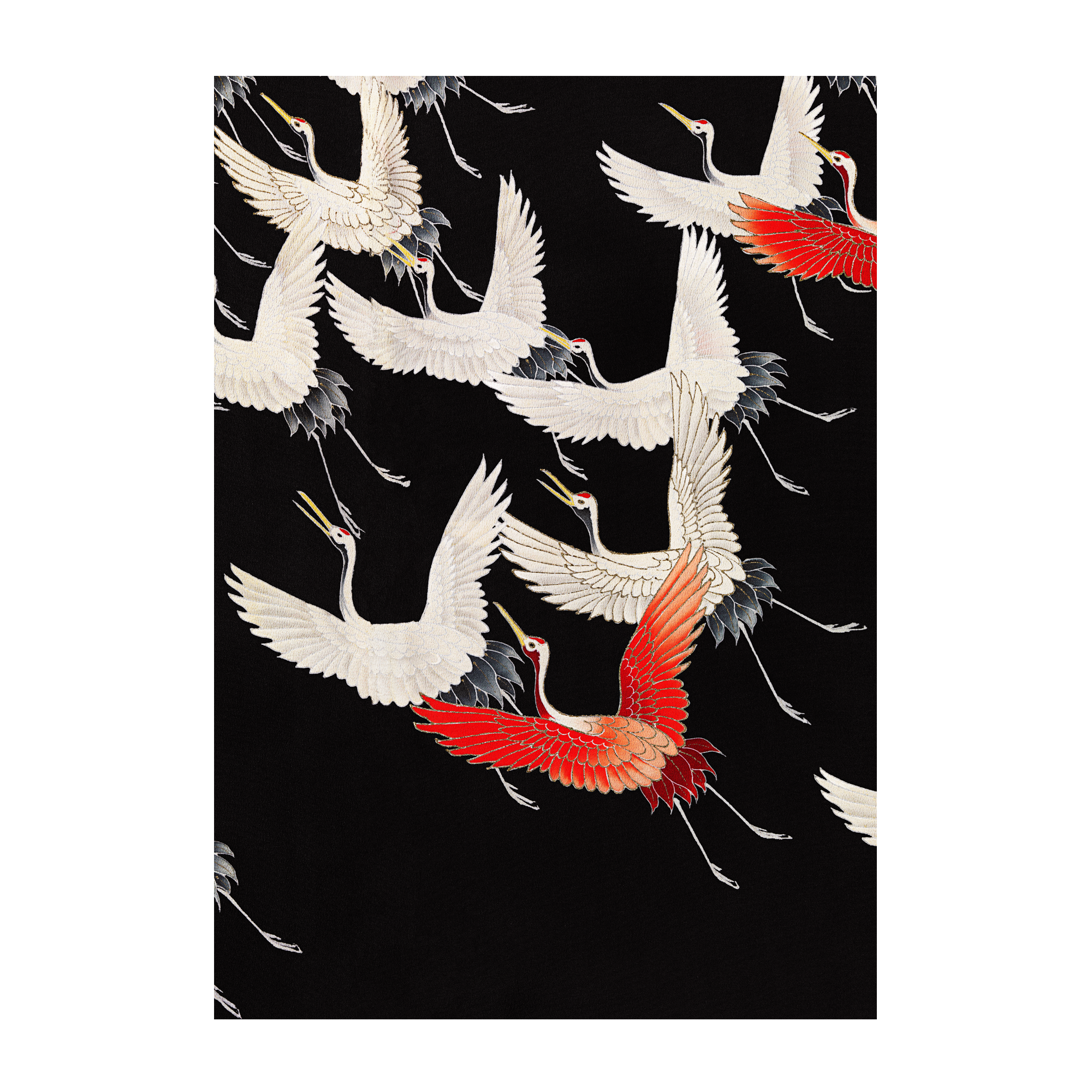 Myriad of flying Cranes Alfredssons