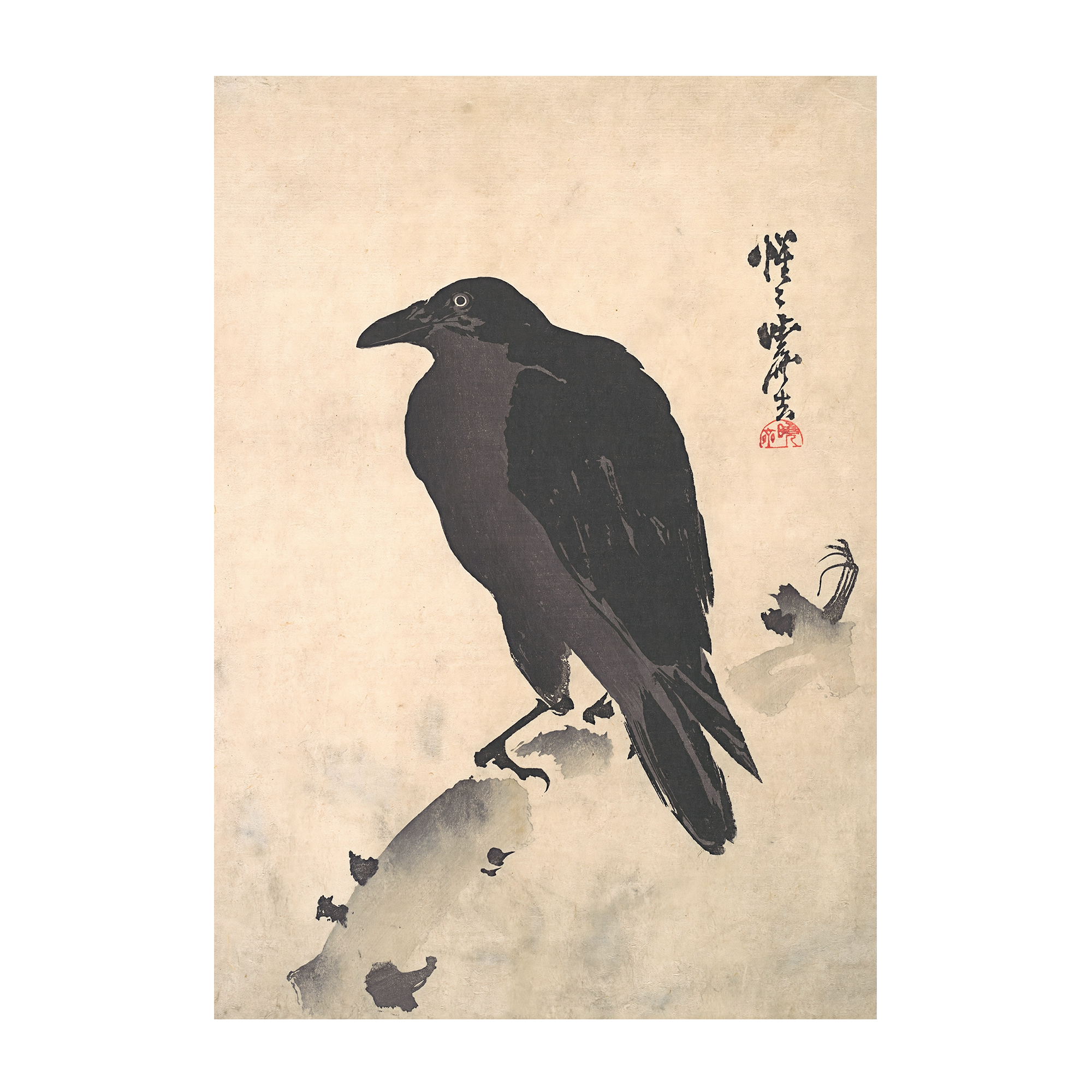 Crow Resting on Wood Trunk Alfredssons