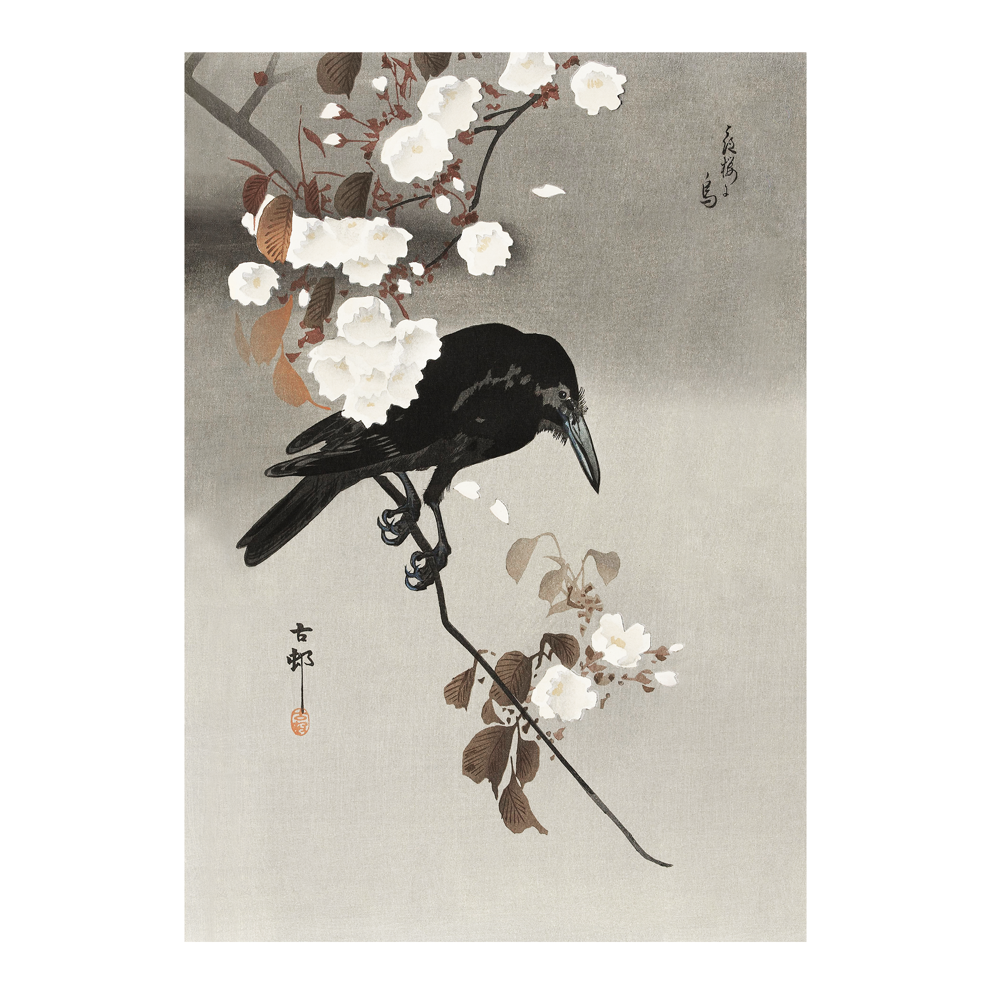 Crow and Cherry Blossom Alfredssons