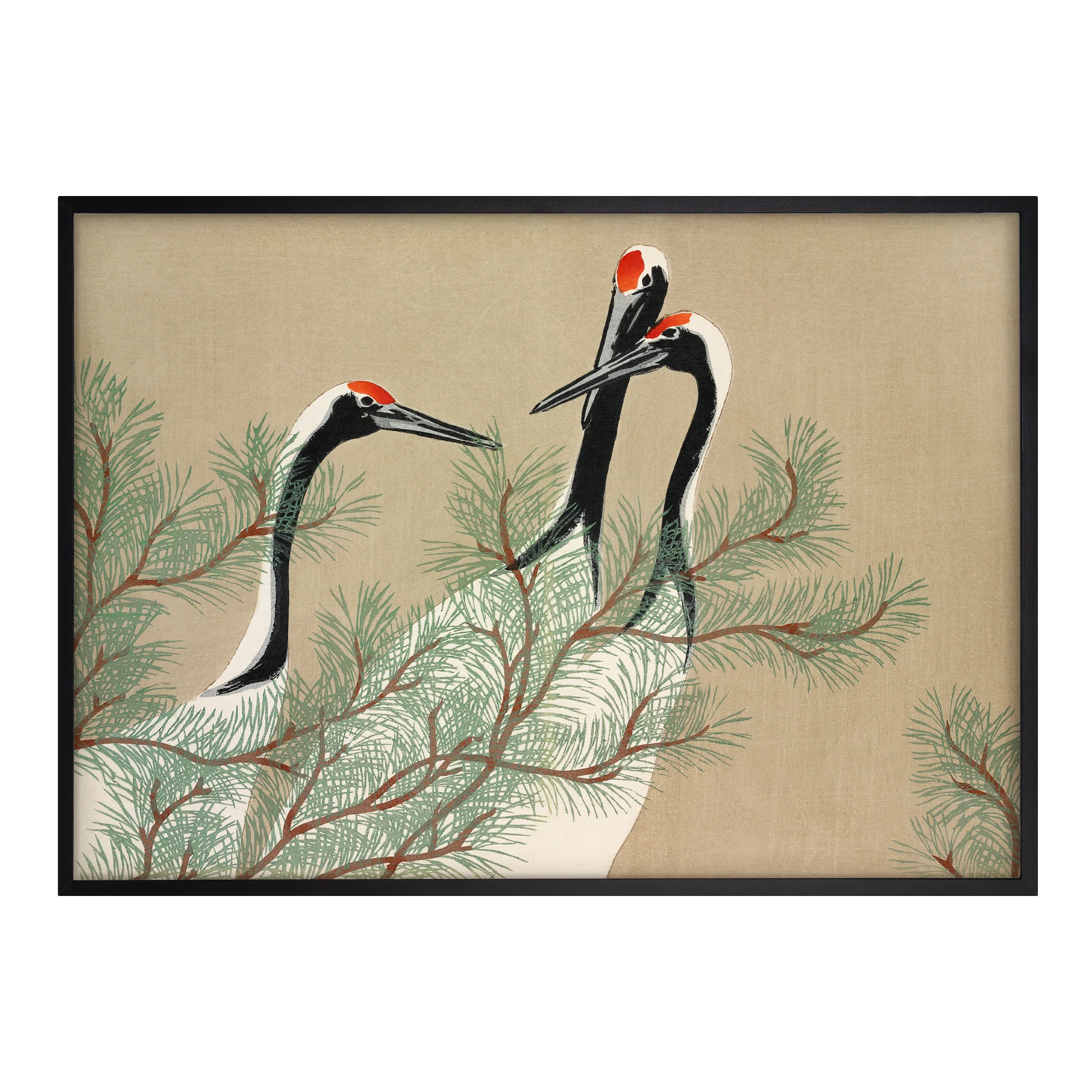 Cranes from Momoyogusa