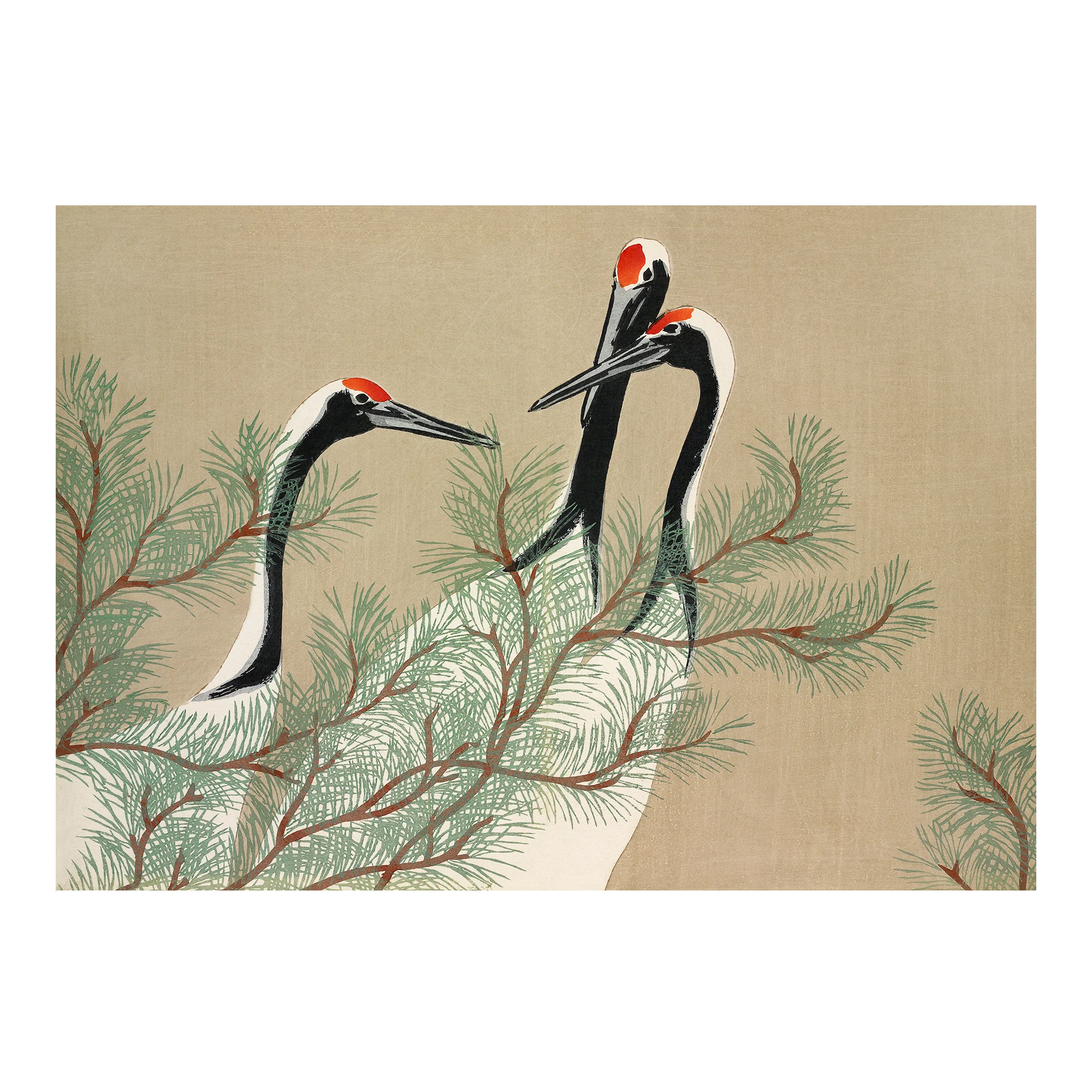 Cranes from Momoyogusa