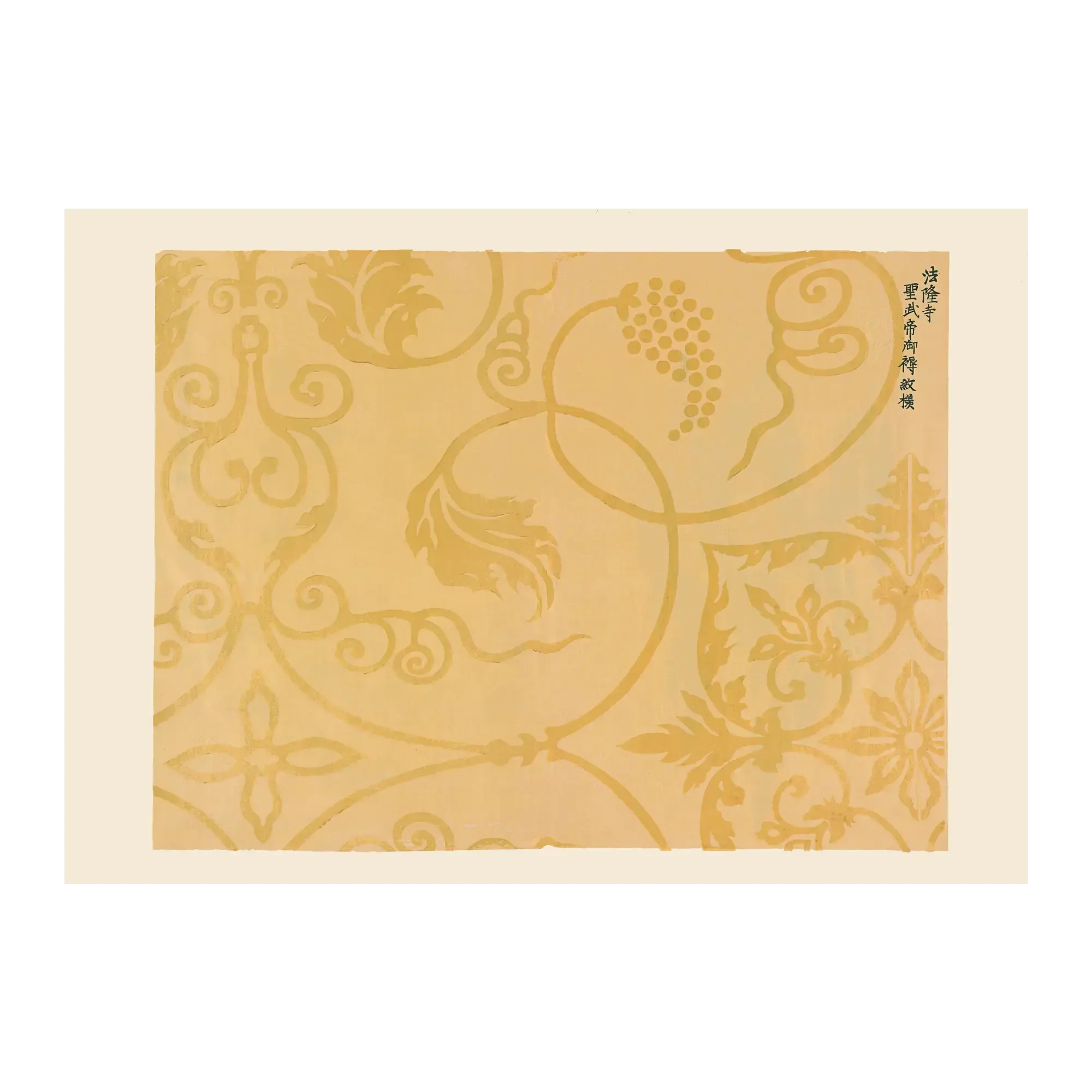 Grapes - House of Koyomi